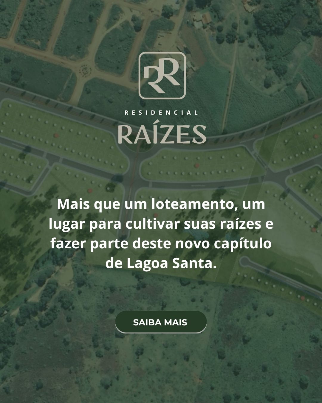 banner raizes